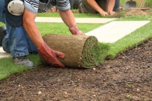 image of safe gardening tip from chiropractor