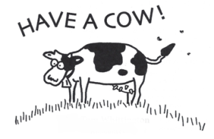 funny image of cow