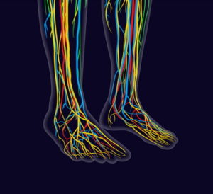 Image of neuropathy pain